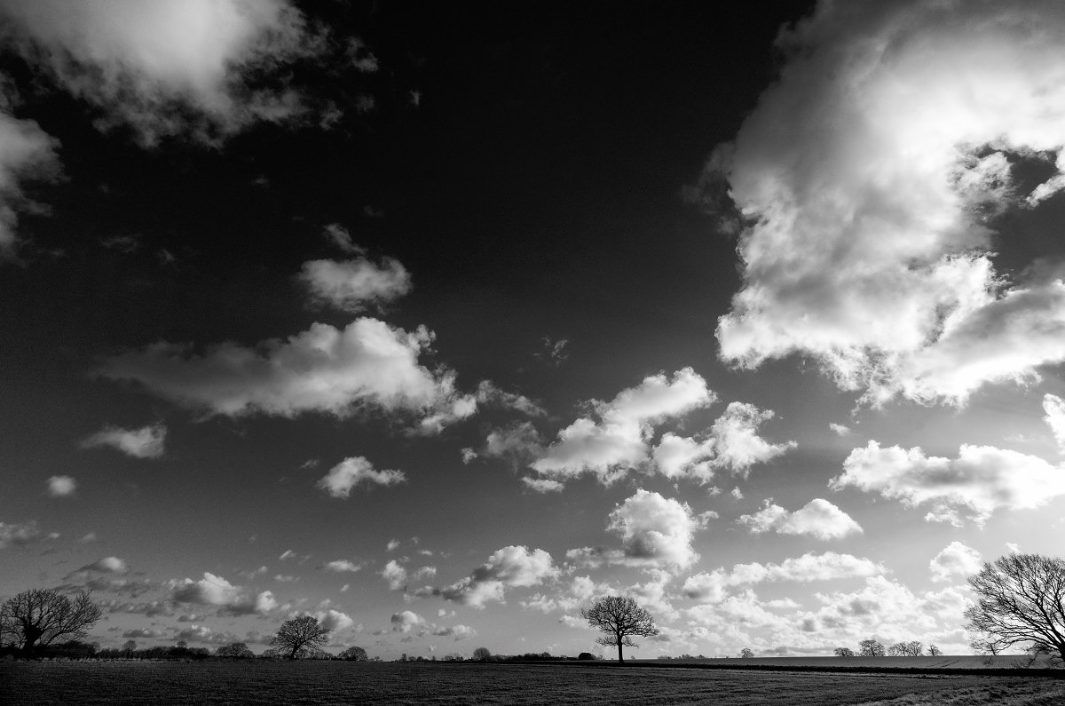 Suffolk- with the 11-23mm Super Vario Elmar at 23mm