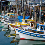 Fishing Boats Bows - 2