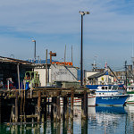 Fishing Dock - 1