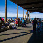 Pier 39 - 1