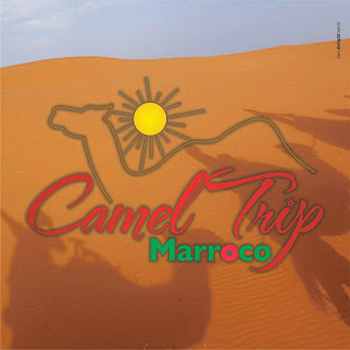 camel-trip-marroco-photo-facebook-3