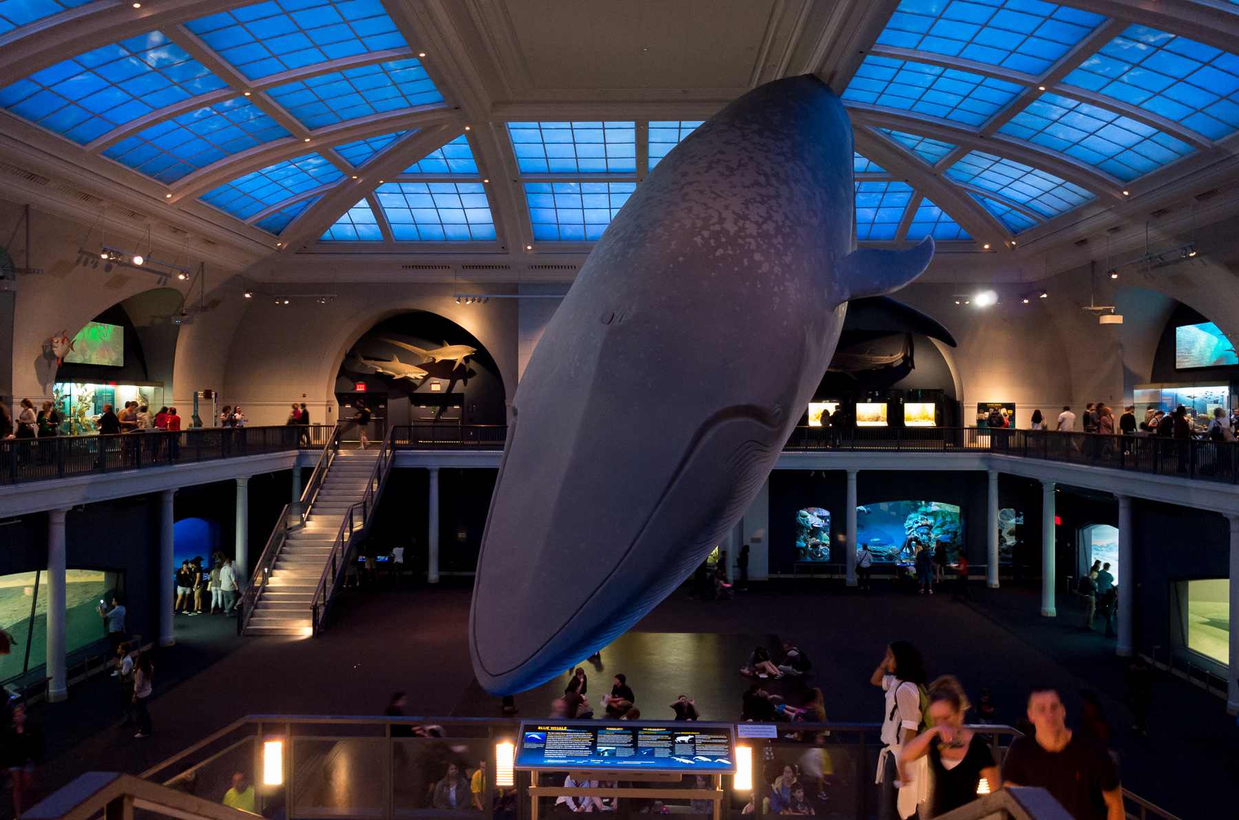 leica x vario (typ 107) review: looking beyond the specs