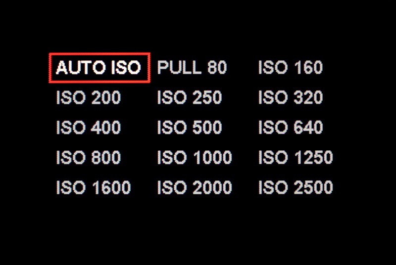 ISO menu in 1/3rd stops