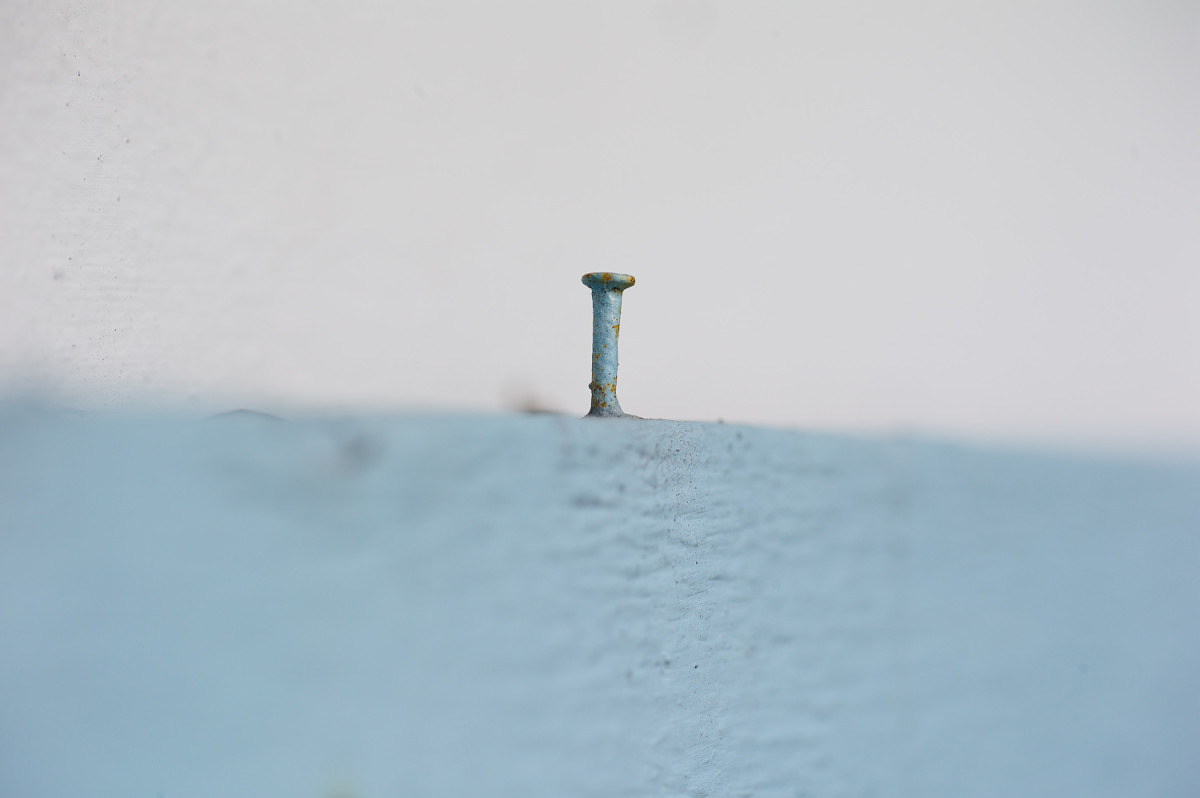 Leica S2 with 120mm APO-Macro-Summarit-S, 1/350th @ f/2.8, ISO 160, handheld