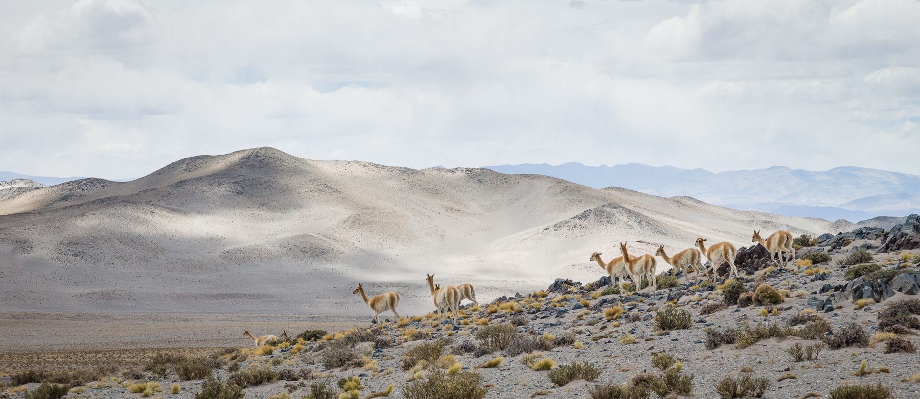 Photographing the Atacama Desert with the Leica S (Typ 006) | Red Dot Forum