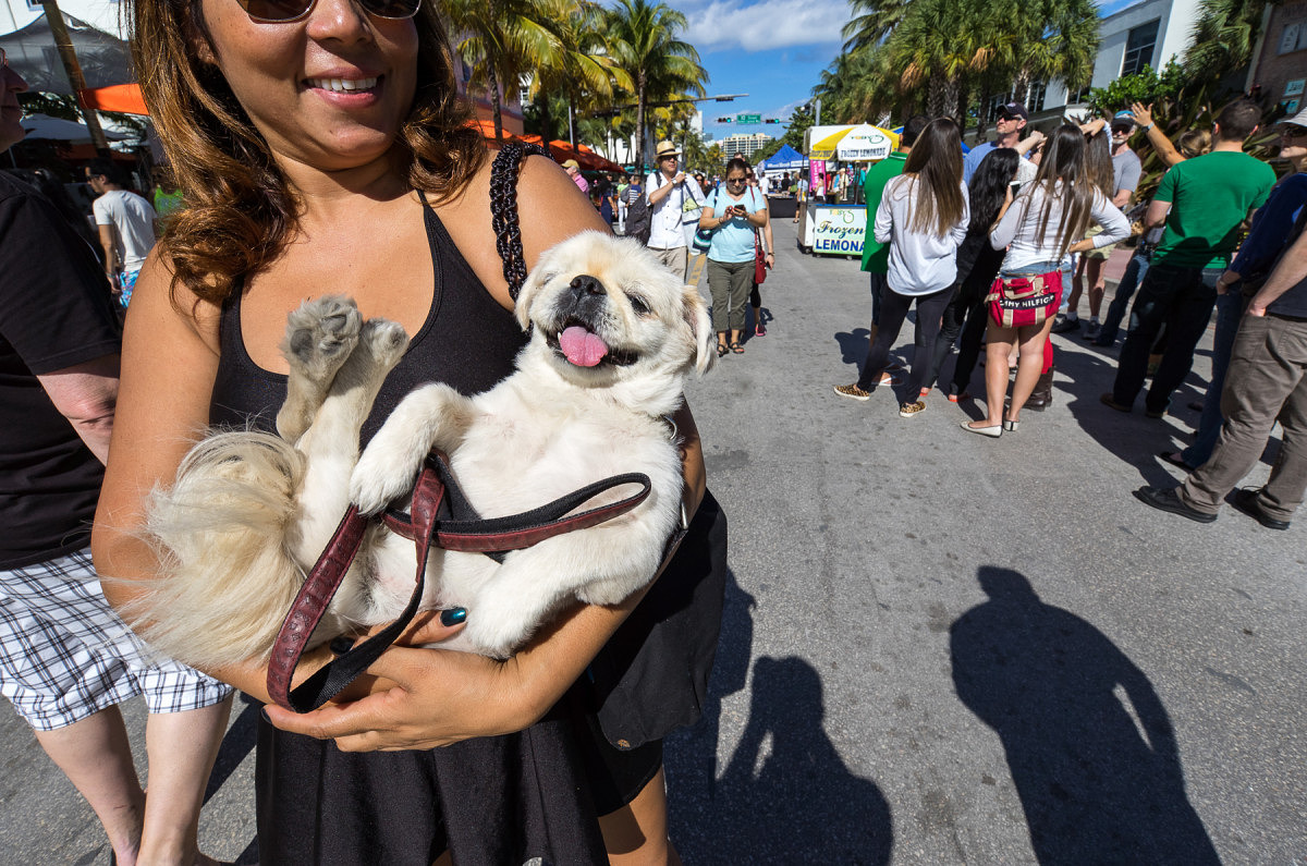 It wouldn't be a review by Josh if there wasn't at least one dog photo! This was a quick snap as she was walking by. 1/800th of a second, f/7.1, ISO100 at 11mm. 