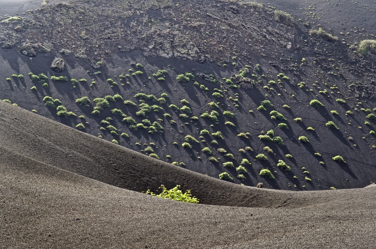 Lanzarote - 18-56 zoom at f5.6 and 56mm