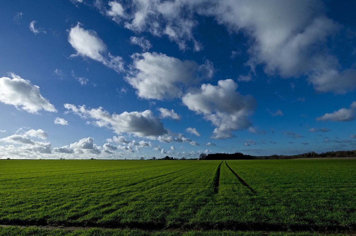 Suffolk UK - Leica 11-23 Vario elmar at 11mm and f11.6