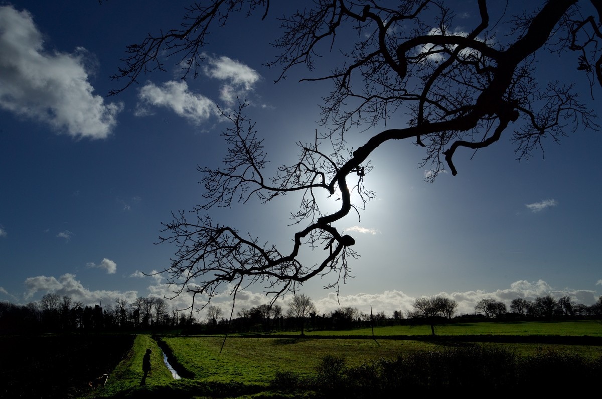 Suffolk- with the 11-23mm Super Vario Elmar at 23mm 