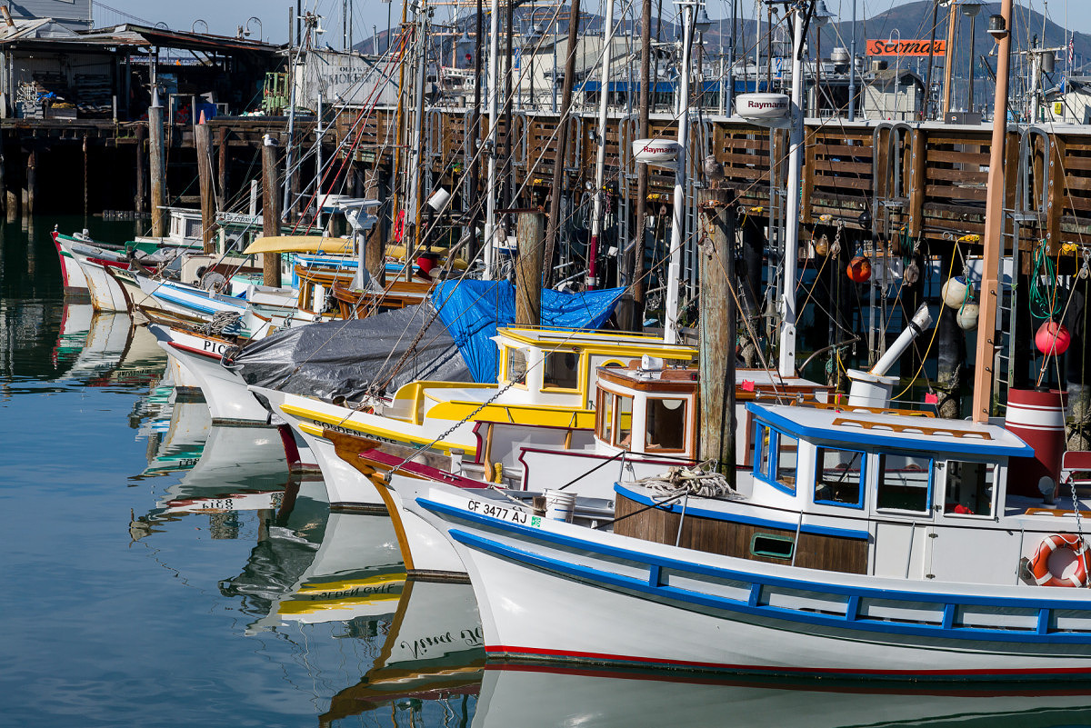 Fishing Boats Bows - 1