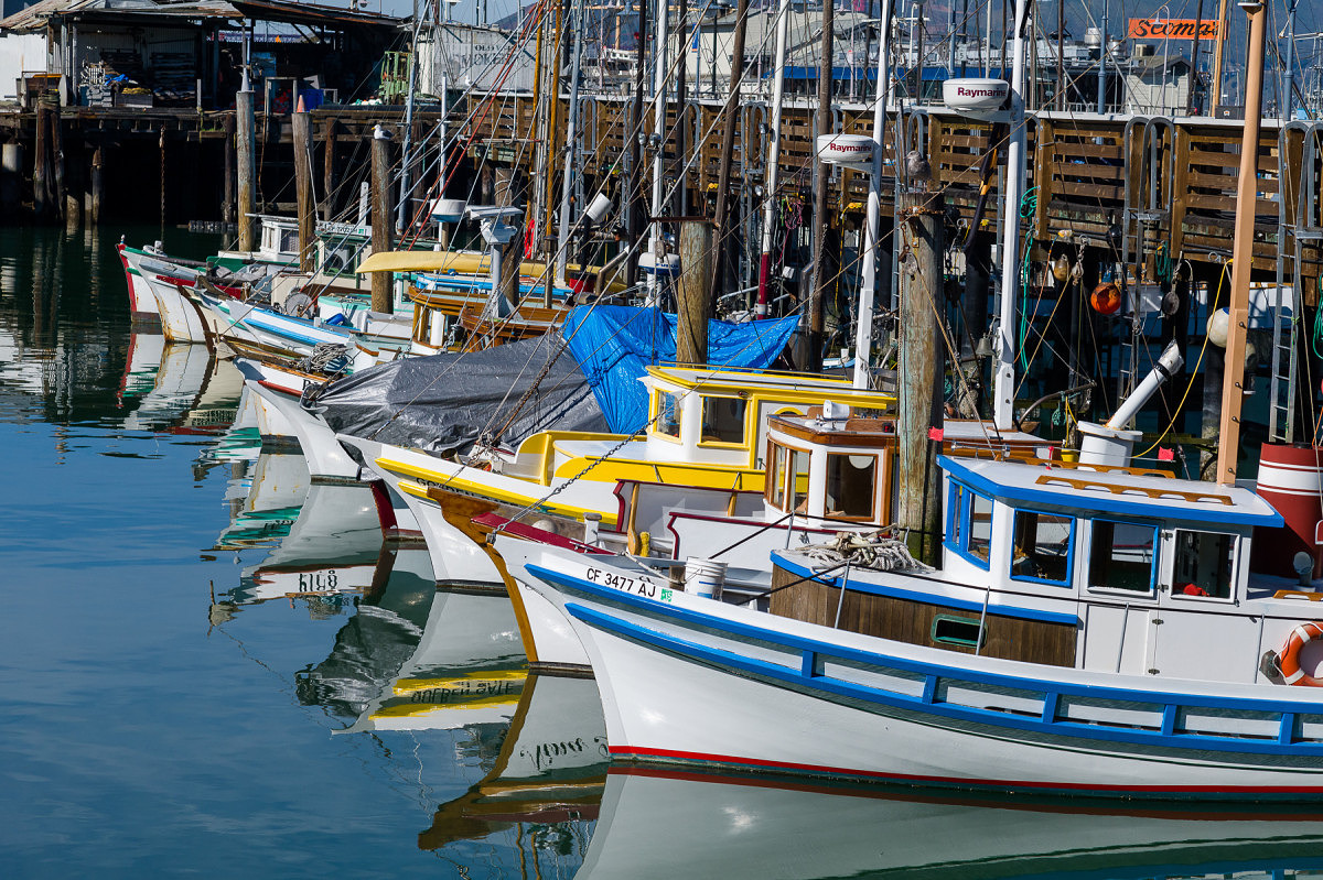 Fishing Boats Bows - 2