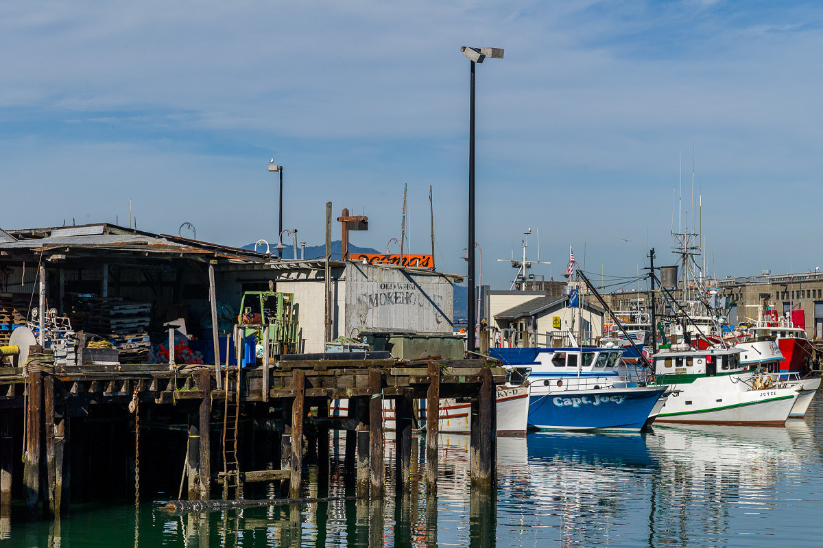 Fishing Dock - 1