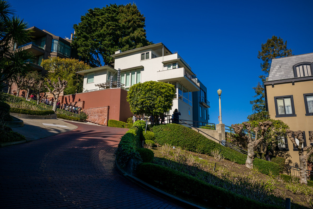 Modern House on Lombard