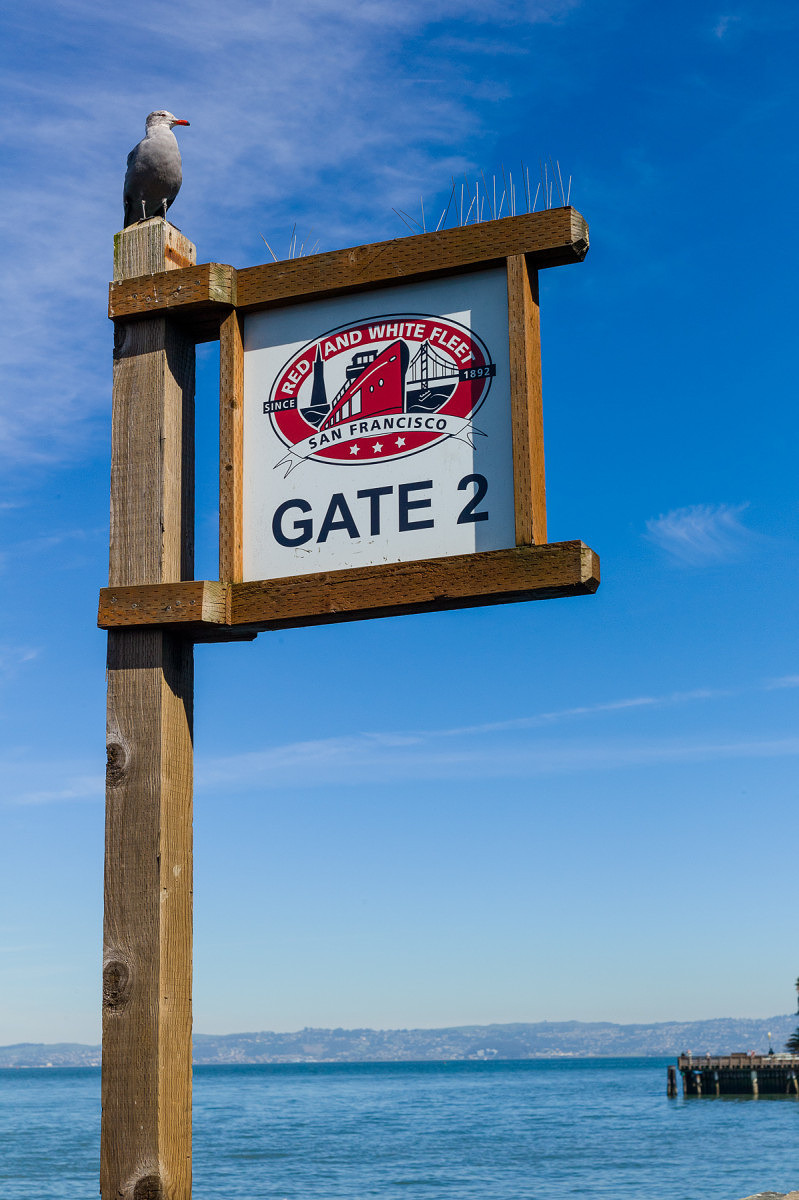 Red and White Fleet Sign