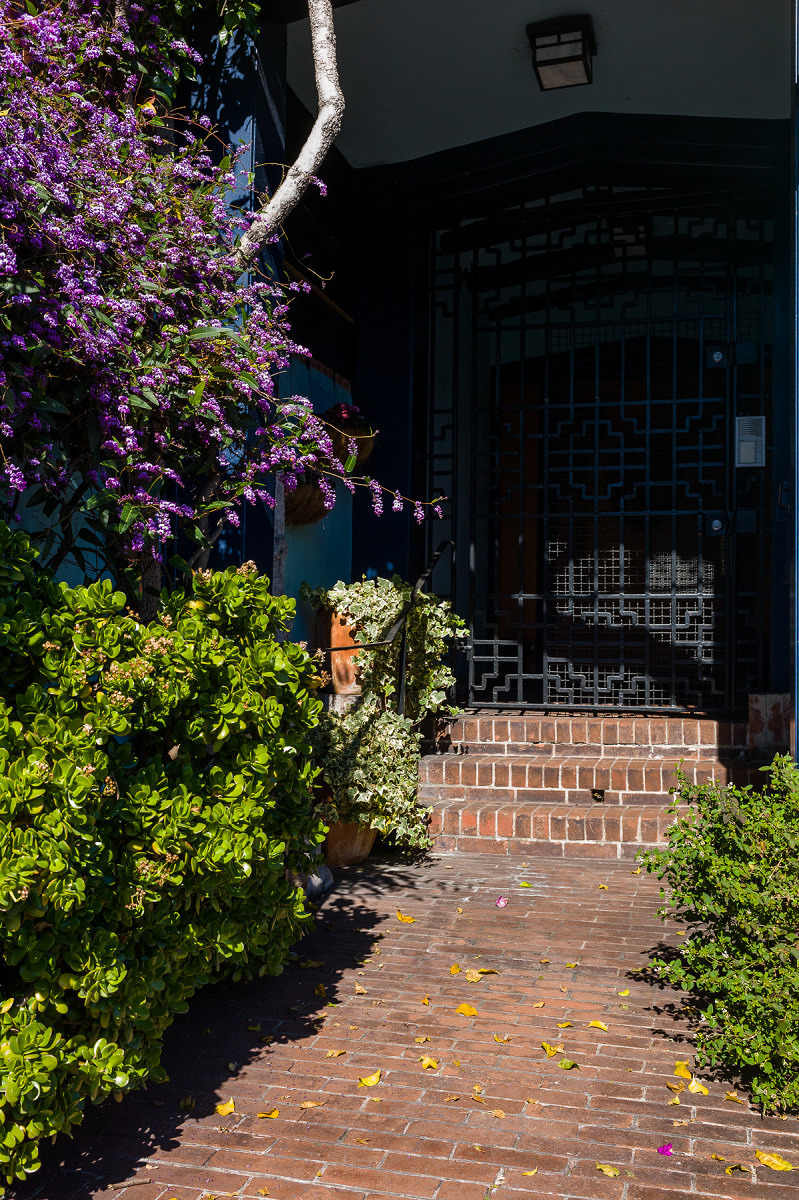 Walkway with Puple Flowers - 2