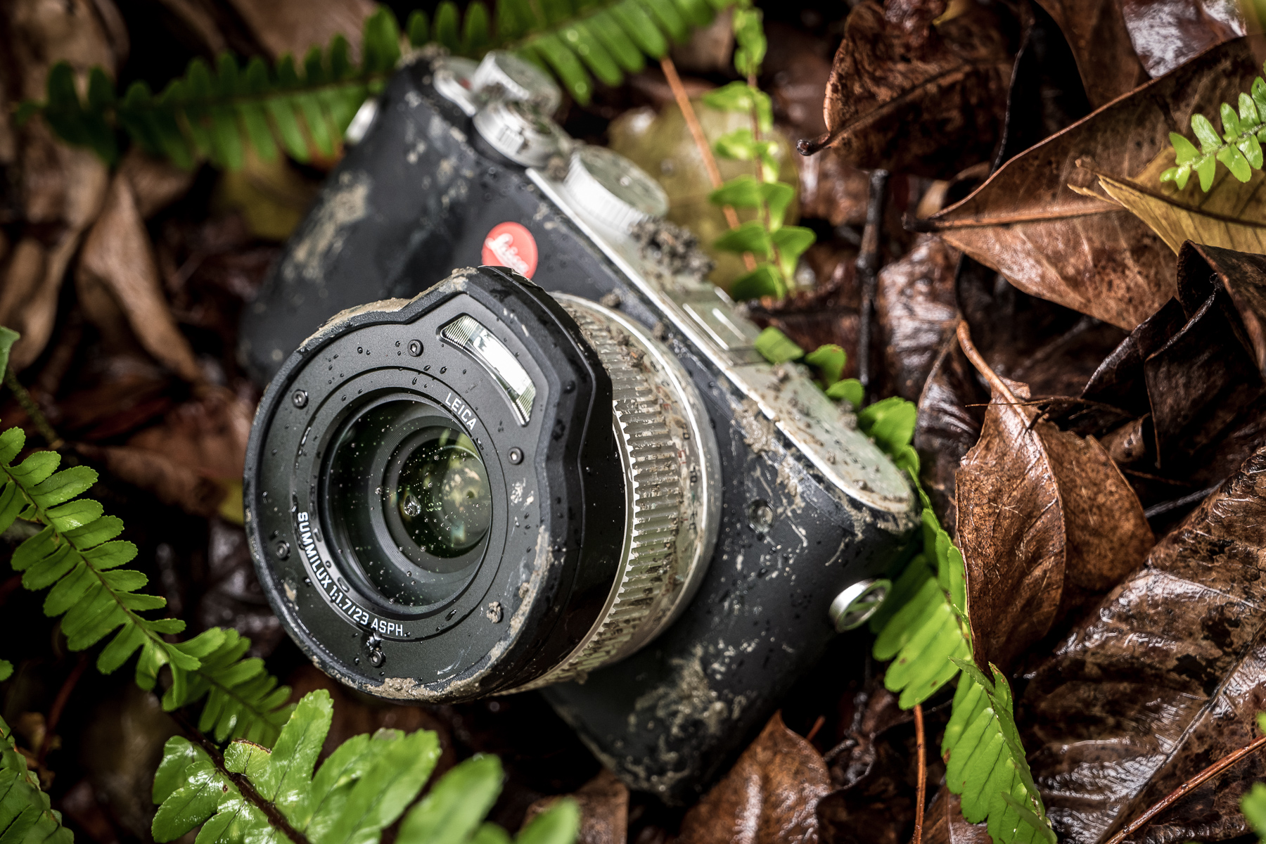 leica x typ 113 review