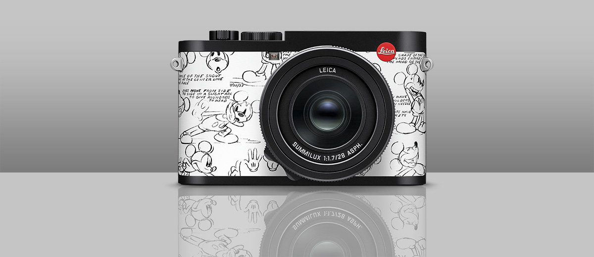 Leica D-Lux Typ 109 in Walt Disney World