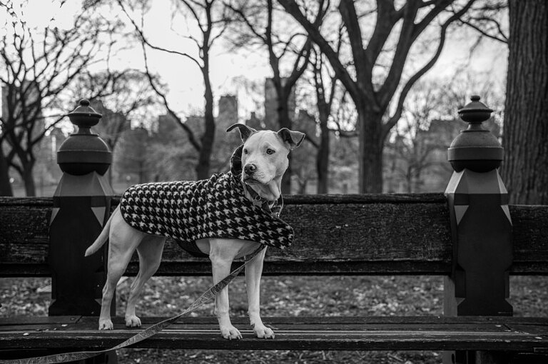 A photograph from the review, taken with the APO-Summicron-M 35mm f/2 ASPH