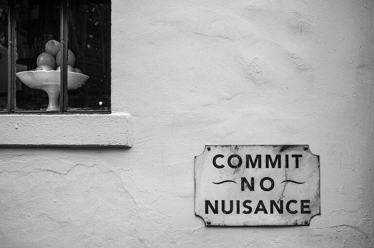 A photograph from the review, taken with the APO-Summicron-M 35mm f/2 ASPH