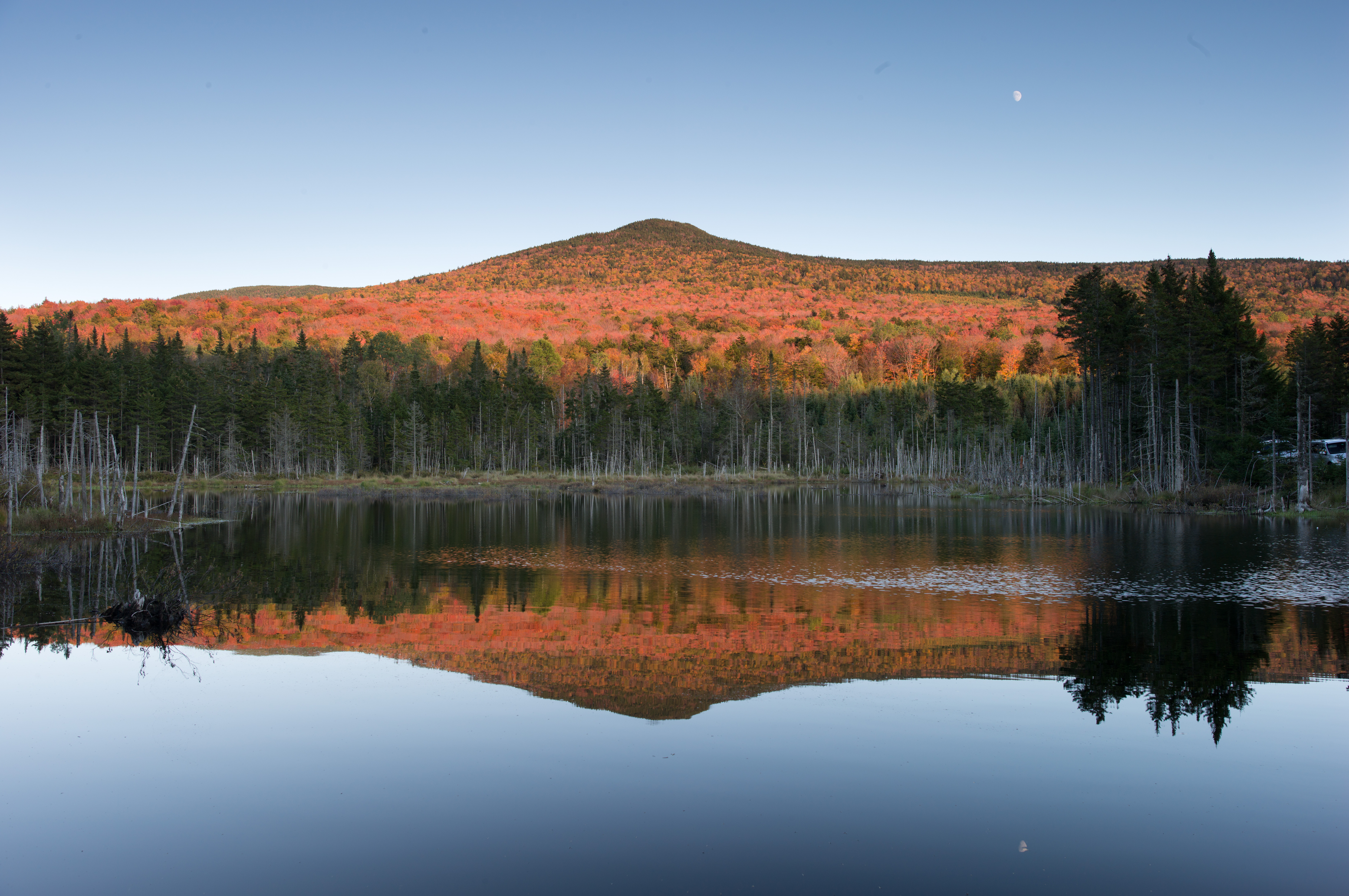 FallDay3-1004445.jpg