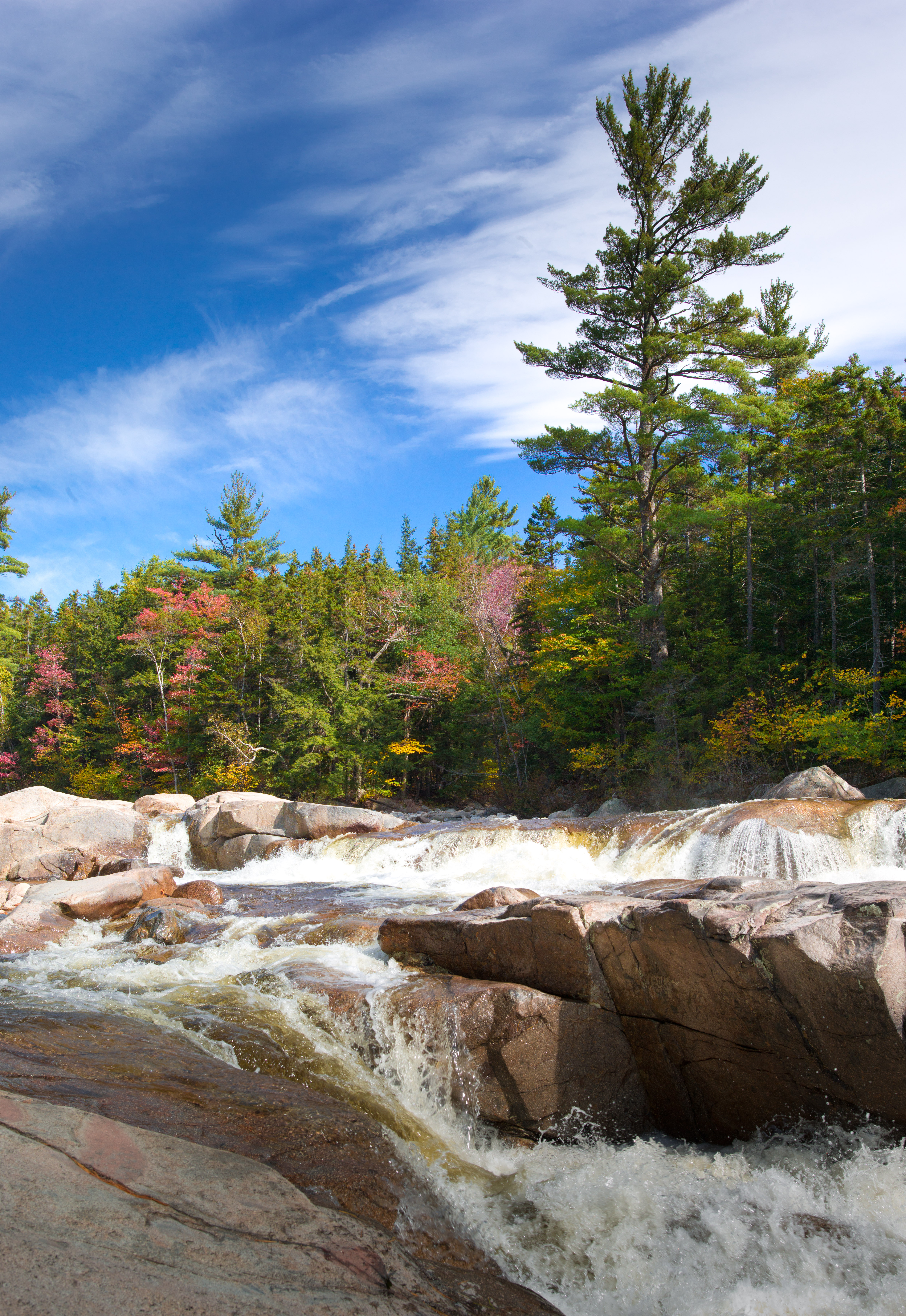 FallDay3-1000762-2.jpg