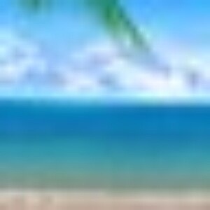 Profile picture of Roofy