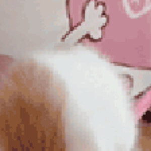 Profile picture of rimova