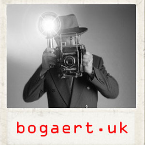Profile picture of andrebogaert
