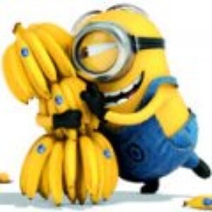 Profile picture of erry