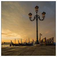 Ven_L1000849