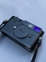 IMG_1217