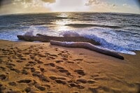 Lihue