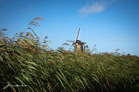 unesco-windmills-in-the-netherlands