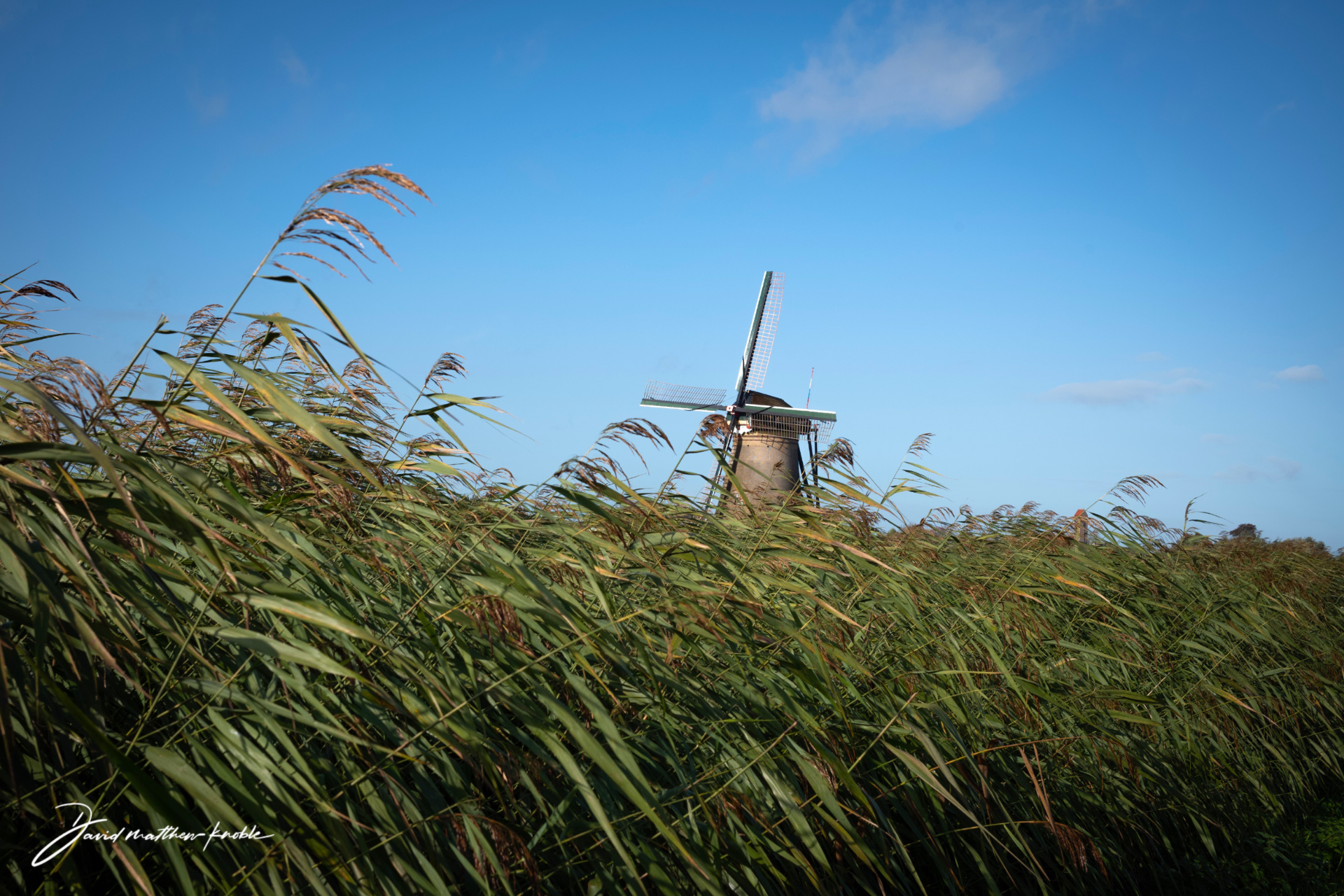 unesco-windmills-in-the-netherlands