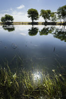 rams-head-pond