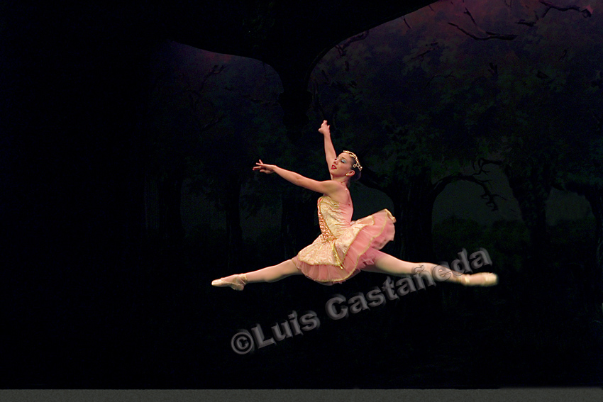d3697-ballet-performance