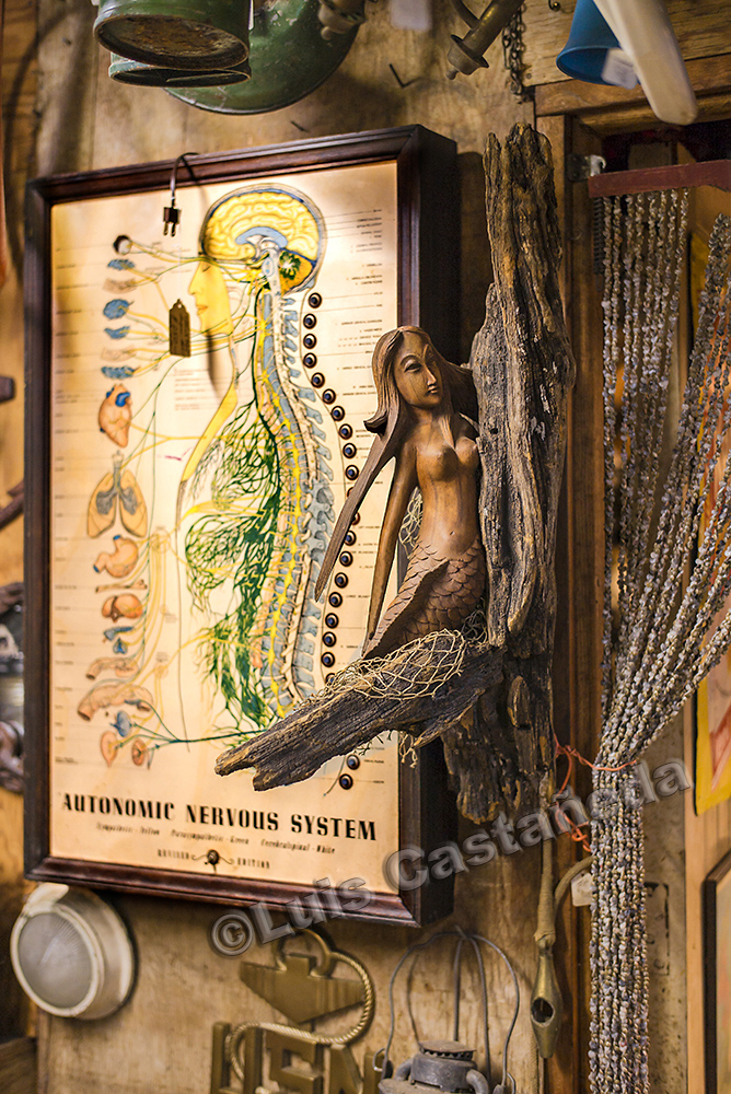 d9243-antiques-store-miami-florida