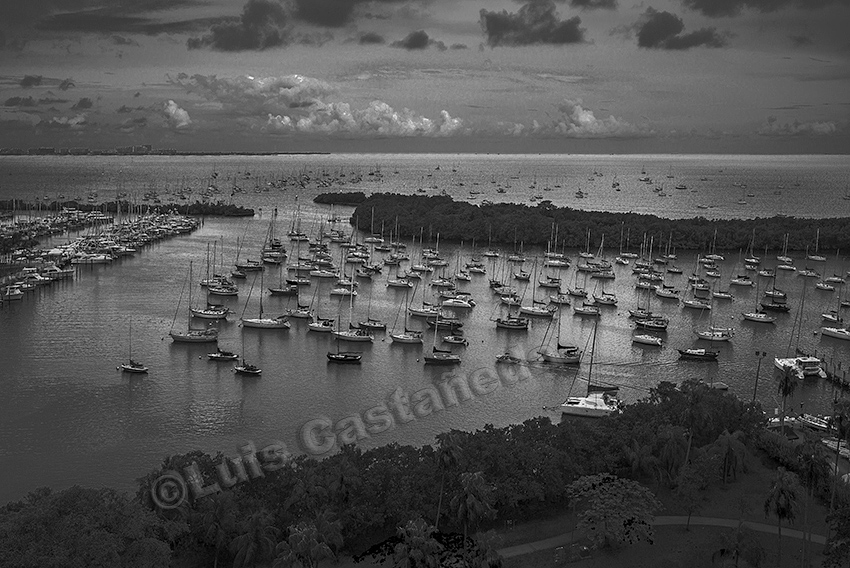 bw-950-coconut-grove-marina