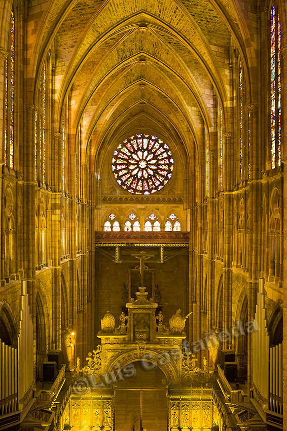 d6720-cathedral-of-leon