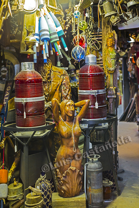 d9824-antiques-shop-miami-florida-usa