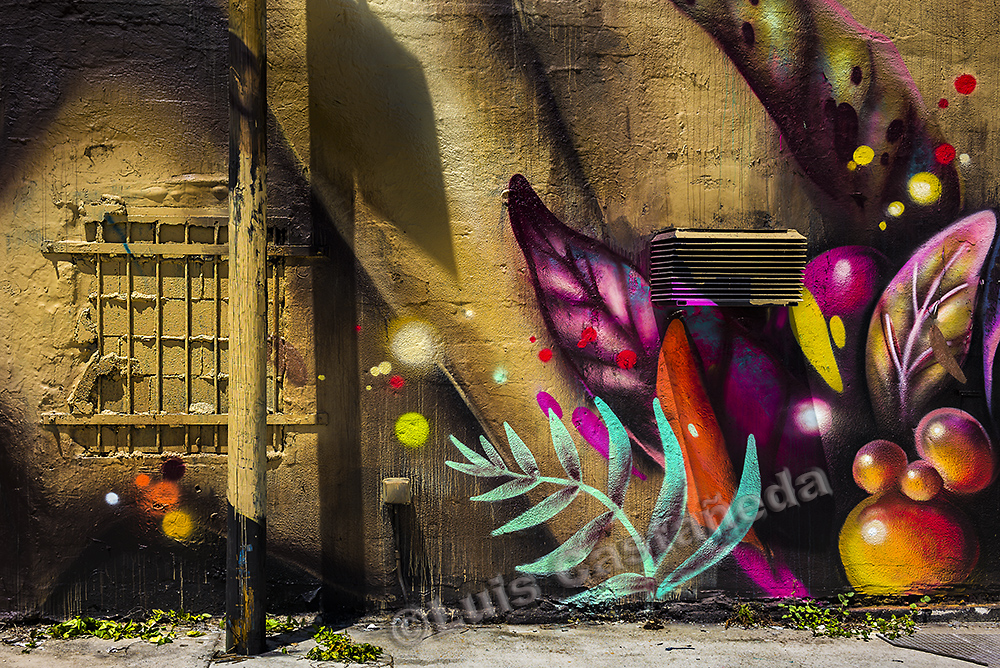 d9885-graffiti-wall
