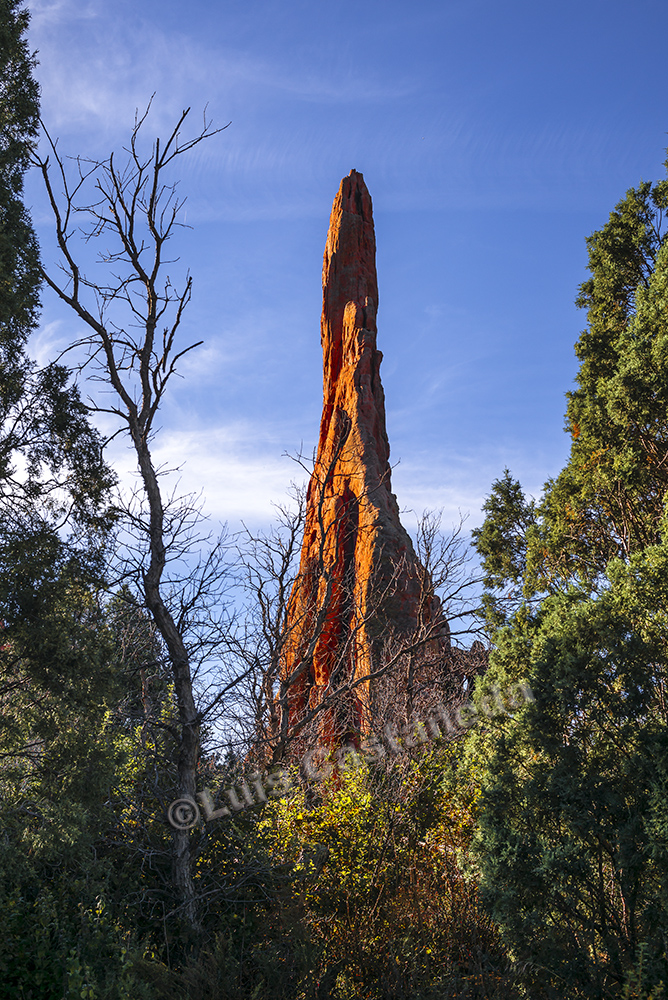 d10008-the-garden-of-the-gods