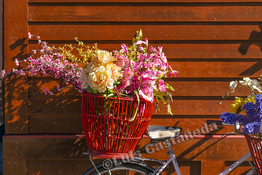 d9995-bicycle-and-flowers