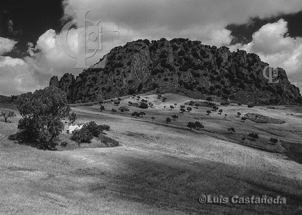 yx_BW-1319 Serrania de Ronda