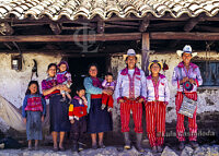 mayan-family