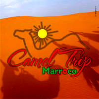 camel-trip-marroco-photo-facebook-3