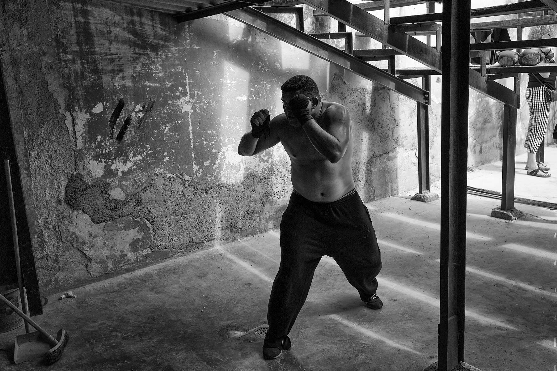 the-boxer