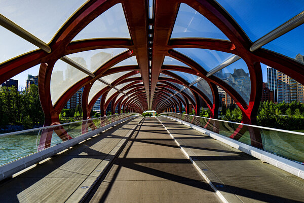 The Peace Bridge