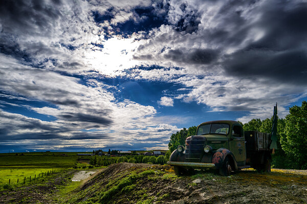 Tree Farm Truck